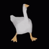 dancing-goose-dancing-duck-meme.gif